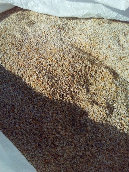 Zierkies Gold Gelb